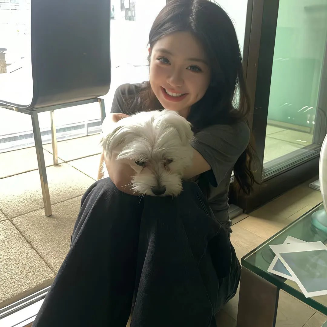 新东京猫猫